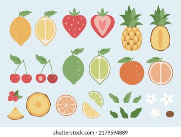 Frutos de verano, gran set de bayas. Verano de diseño retro. Ilustraciones de moda dibujadas a mano por vectores. Alimentos naturales saludables, jugosos elementos de frutas de verano para web, app, textil, papel pintado, diseño de papelería. Vector 