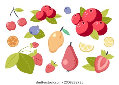 Summer fruit collection. Set of fresh tropical and garden fruits, organic biological vegan food. Cute cartoon vector illustration