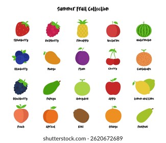 Summer fruit collection set isolated on white background with simple and flat design