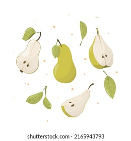 Summer fruit collection, set of vector pears, pear vector. Fresh garden fruit doodle, organic organic vegan food.