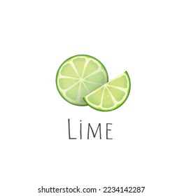 Summer fruit for a healthy lifestyle. Organic products. Cartoon style. Vector illustration. Cut lime slices isolated on white background.