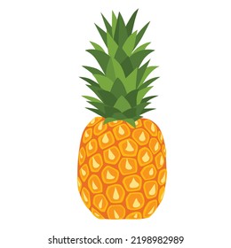 Summer fruit for healthy lifestyle fruit pineapple vector illustration cartoon flat icon isolated on white.