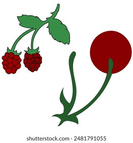 summer fruit icon vector illustration