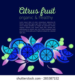 Summer fruit poster with cut lemon orange grapefruit and berries vector illustration.  Set of citrus fruits. Fruit menu, salad, sliced. Organic and healthy. Summer background. jujube