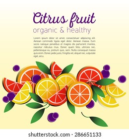 Summer fruit poster with cut lemon orange grapefruit and berries vector illustration.  Set of citrus fruits. Fruit menu, salad, sliced. Organic and healthy. Summer background  Lemonade. Stewed fruit