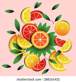 Summer fruit poster with cut lemon orange grapefruit vector illustration.  Set of citrus fruits. Fruit menu, salad, sliced. Organic and healthy. Summer background. jujube. Lemonade. Stewed fruit