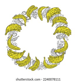 Summer fruit round composition. Banana illustration. Vector illustration