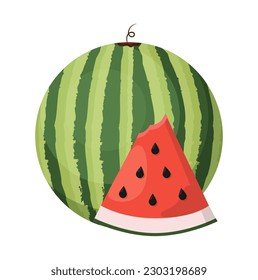 Summer fruit vector that can be reused in flat illustrations, these elements will create a delicious and freshness atmosphere, simple modern and elegant vector design.