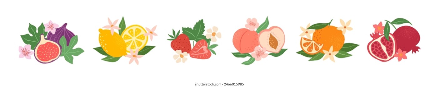 Summer fruits abstract composition. Fig, lemon, strawberry, peach, orange, pomegranate. Trendy modern vector illustration  in hand drawn vintage style.