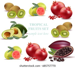 Summer fruits avocado, papaya, kiwi, pomegranate, fresh cocoa, guava Collection set Vector