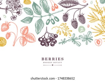 Summer fruits, berries and flowers design. Strawberry, blueberry, cranberry, cherry, blackberry illustrations. Hand drawn summer berries sketches. Seasonal healthy food ingredients template in color.