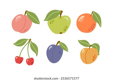 Frutos de verão e bagas com folhas. Laranja, pessegueiro, maçã, cereja, ameixa, damasco. Desenho desenhado à mão ilustração de conjunto de desenhos animados. 