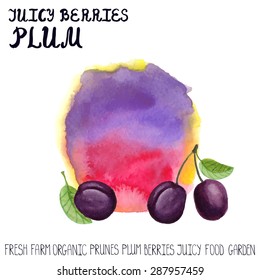 Summer fruits, berry.Vector Watercolor prunes plum :juice ,blur splash,spot with green leaves, lettering for label template.Design elements,food .Nature, ecology,fresh farm product,label,poster.Summer