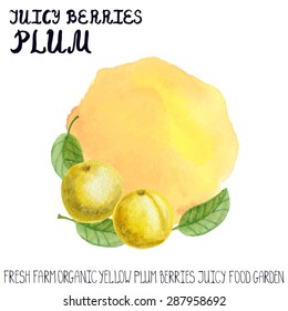 Summer fruits, berry.Vector Watercolor yellow plum :juice  splash,spot with green leaves, lettering for label template.Design elements,food .Nature, ecology,fresh farm product,label,poster.Summer