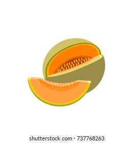 Summer fruits for healthy lifestyle. Cantaloup, whole fruit and slice. Vector illustration cartoon flat icon isolated on white.