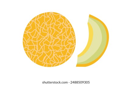 Summer fruits for healthy lifestyle .Melon whole fruit and slice. Vector illustration cartoon flat icon isolated on white. Melon vitamins icon for your design.