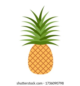 Summer fruits for healthy lifestyle. Pineapple fruit. Vector illustration cartoon flat icon isolated on white.