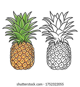 Summer fruits for healthy lifestyle. Pineapple fruit.