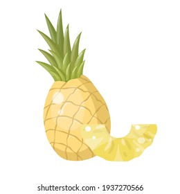 Summer fruits for healthy lifestyle. Pineapple fruit, whole and slice. Vector illustration cartoon isolated on white.