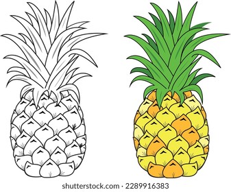 Summer fruits for healthy lifestyle. Pineapple Tropical Fruit. Vector Illustration. Lines and Lettering. Card, Banner Pineapple fruit. Vector illustration. Pineapple colorful icon isolated on white. 