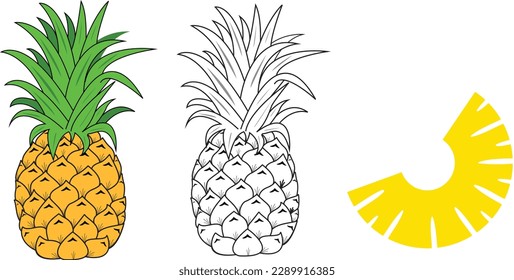 Summer fruits for healthy lifestyle. Pineapple Tropical Fruit. Vector Illustration. Lines and Lettering. Card, Banner Pineapple fruit. Vector illustration. Pineapple colorful icon isolated on white. 