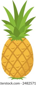 Summer fruits for a healthy lifestyle. Pineapple fruit. Vector illustration cartoon flat icon isolated on white.