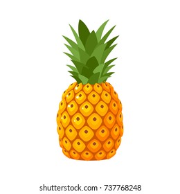 Featured image of post Cartoon Pineapple Drawing Images