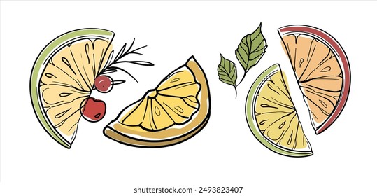 Summer fruits set continuous line art drawing isolated on white background. Orange and grapefruit collection. Vector illustration	