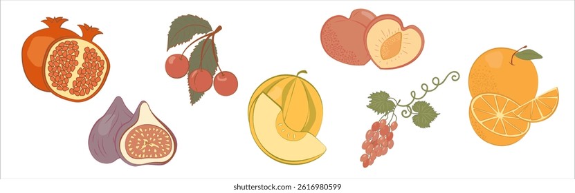 Summer Fruits set in flat vector style . 