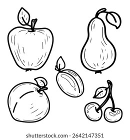 Summer fruits set. Hand drawn doodle vector. Ripe berries season. Apple, pear, peach, plum, cherry. Organic food. Vegetarian fresh vitamins. Illustration line art group of elements.