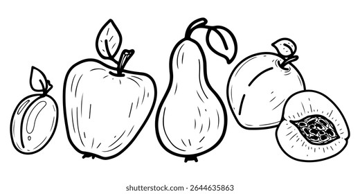Summer fruits set. Hand drawn doodle vector border. Ripe berries season. Apple, pear, peach slice, plum. Organic food. Vegetarian fresh vitamins. Illustration line art group of elements.