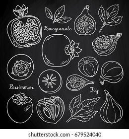Summer fruits set whole and slices: pomegranate, persimmon, figs. Collection for design on blackboard. Vector sketch