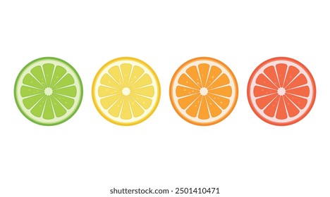 Summer fruits slices collection. Big vector set of fresh delicious citrus fruits. Lime, lemon, orange and grapefruit on white isolated background