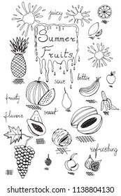Summer Fruits Vector