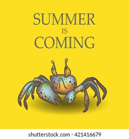 Summer funny illustration. Funny Crab. Summer is coming.