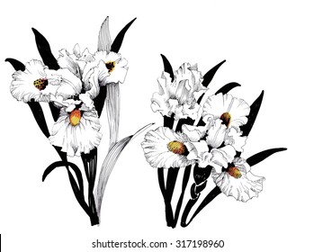 Summer garden blooming flowers, black and white illustration, vector
