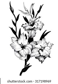 Summer garden blooming flowers, black and white illustration, vector