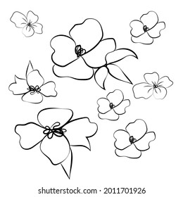 Summer garden blooming flowers monochrome illustration, sketch, hand drawn.