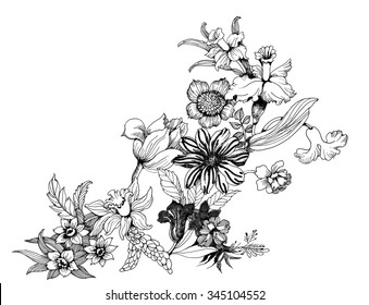 Summer garden blooming flowers monochrome vector illustration