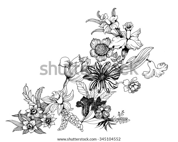 夏に咲く花の白黒ベクターイラスト のベクター画像素材 ロイヤリティフリー