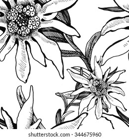 Summer garden blooming flowers seamless monochrome pattern on white background, vector illustration