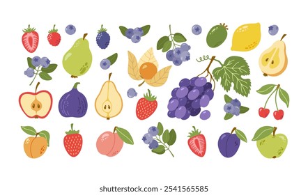 Frutos de jardim de verão e bagas com folhas. Mirtilo, morango, amora, pera, maçã, figo, damasco, pêssego, fisalis, uva, limão, cereja, ameixa, feijoa. Desenho desenhado à mão.