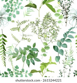 Summer garden greenery print with emerald leaves and wildflowers. Eucalyptus, herbs and plants. Botanical pattern design. Seamless vector pattern. Simple tileable backdrop on white background