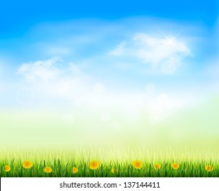 Summer gaze background with blue sky and a field of dandelions.