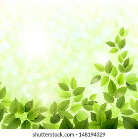 Summer glade with fresh green leaves 