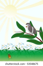  A summer glade, in the solar morning, on a light blue background.