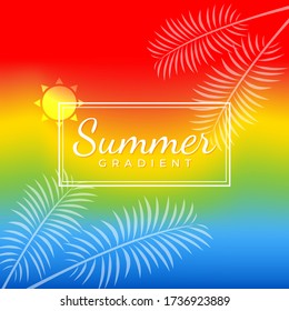 Summer gradient background with coconut leaf vector.