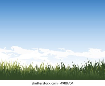 summer grass