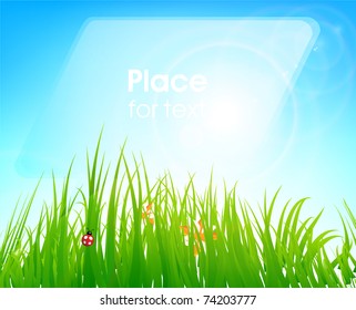 Summer grass banner with flowers, ladybird, drops and sun shine. eps 10.