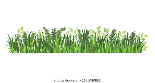 Summer grass border. Nature landscape element isolated on white background. Fragment of green grass. Spring meadow or summer lawn symbol